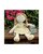 Lappenpop Honey 39 cm