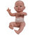 Bebito naakte babypop meisje (45 cm)