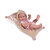 Babypop Flore