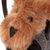 Hannah pop met haar hond editie 2026