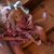 Happy Kidz pop Anna Unicorn